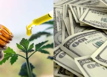 Leafreport Uncovers Massive Price Gaps up to 3200% in CBD Products