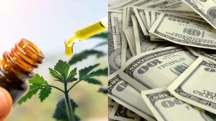 Leafreport Uncovers Massive Price Gaps up to 3200% in CBD Products