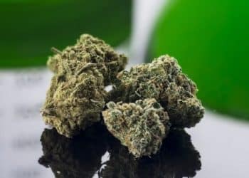 What We Know About CBC