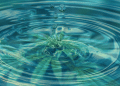 CBD Beverages: Ways to Make Cannabinoids Water-Soluble