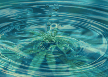 CBD Beverages: Ways to Make Cannabinoids Water-Soluble