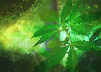 Physicochemical Property Data in the Cannabis Industry