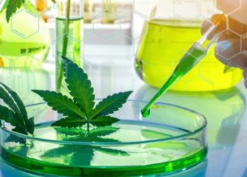 Cannasphere Biotech Launches Nanoliposomal Hydro CBD Concentrate powered by Patent Pending Lipofusion™ Delivery Technology