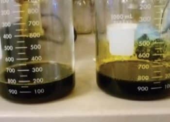 Filter Presses for Winterization