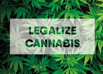 Drug Policy Alliance Statement on New Mexico’s Bill to Legalize Cannabis