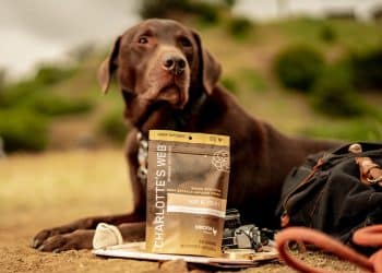Charlotte’s Web Pet Products Approved for NASC Quality and U.S. Hemp Authority Seals