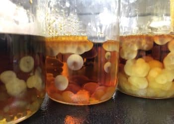 The Bizarre Crystallization of Δ10-THC