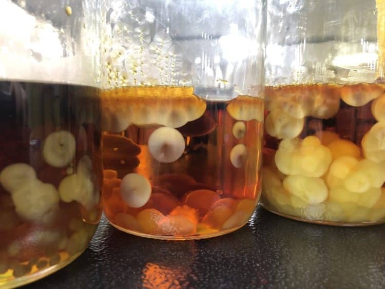 The Bizarre Crystallization of Δ10-THC