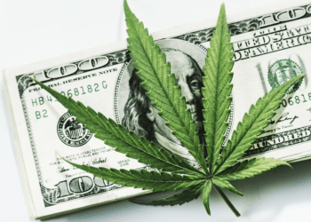 Long Beach Lowers Cannabis Taxes