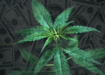 Expansion into the Wellness Space