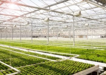 Gibraltar Acquires Leading Cannabis Extraction Equipment Makers for Coast to Coast Market Approach