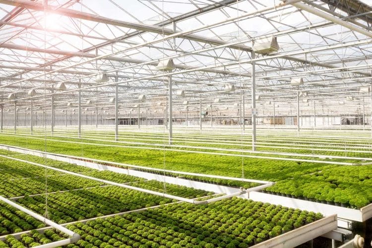 Gibraltar Acquires Leading Cannabis Extraction Equipment Makers for Coast to Coast Market Approach