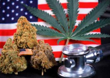 House Committee Approves Veterans Affairs Medical Cannabis Bills