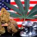 House Committee Approves Veterans Affairs Medical Cannabis Bills
