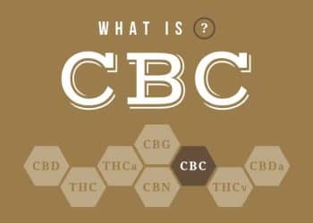 CBC & CBG: Benefits Against Gastrointestinal Tumors?