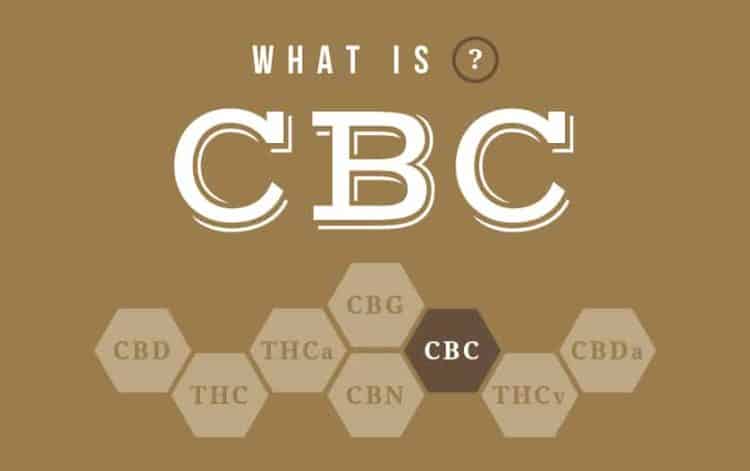CBC & CBG: Benefits Against Gastrointestinal Tumors?