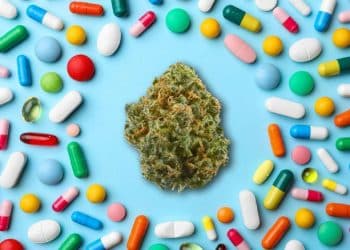 CBD Levels in Products May Not be What They Say, New Digital Citizens Alliance Research Finds