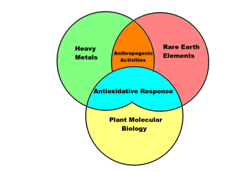 Heavy Metals in Cannabis: Important Things to Know