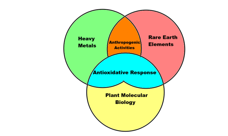 Heavy Metals in Cannabis: Important Things to Know