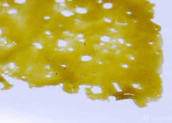 Investing in Extraction Companies