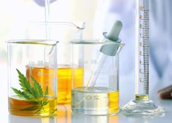 CBD Extraction Methods – Are They Competing or Completing One Another?