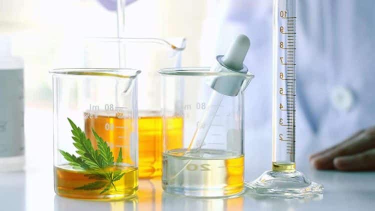 CBD Extraction Methods – Are They Competing or Completing One Another?