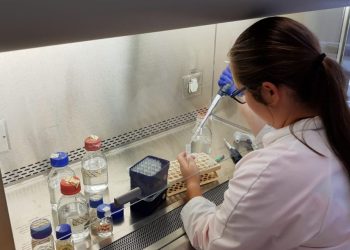 InMed Announces Completion of Initial Phase 1 Clinical Trial of INM-755 CBN Cream in Healthy Subjects