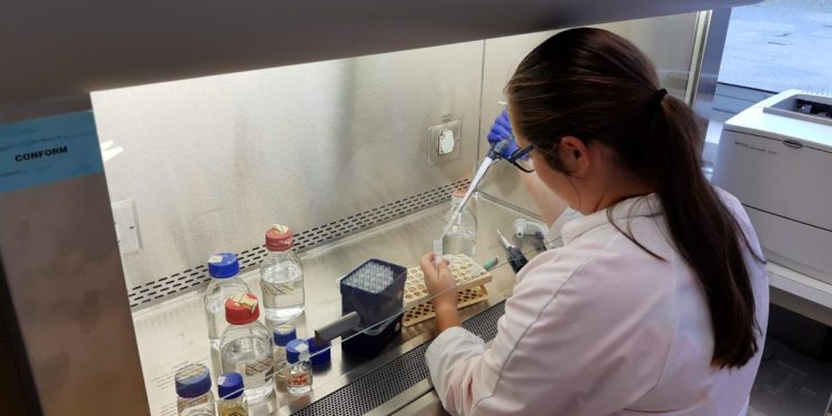 InMed Announces Completion of Initial Phase 1 Clinical Trial of INM-755 CBN Cream in Healthy Subjects