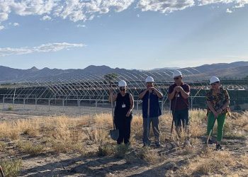 U.S. Grants Trait Biosciences Patent for Process to  Increase Cannabinoid Production Up to 200%