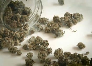 NORML’s Statement Regarding the Designation of Medical Cannabis Dispensaries as “Essential Services”