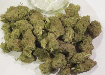 Cannabis Policy Advocates Urge Congress to Include Banking Reform in Next Coronavirus Relief Legislation