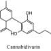 Cannabidivarin