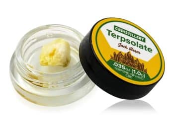 Cannabis Terpsolates Explained