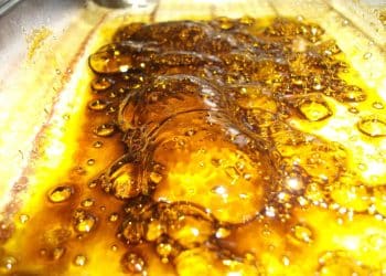 Passive vs. Active Solvent Recovery in Closed-Loop Extraction