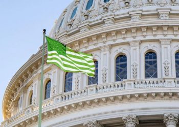 Federal Stimulus Funds for Cannabis Businesses Would Save Tens of Thousands of American Jobs, New Survey Finds 85% of Cannabis Companies Would Save Jobs With Access to Relief Funds