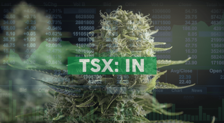 InMed and Almac Group Developing Improved Cannabinoid Production Methods