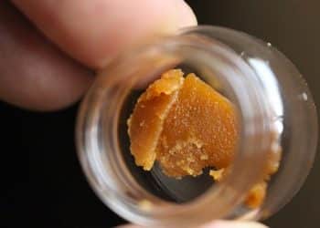 Extracting Pure Botanical Terpenes