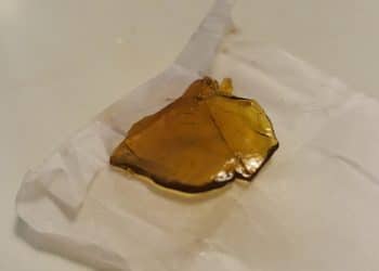 Contamination of Cannabis Concentrates: An Ongoing Regulatory Concern