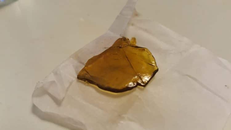 Contamination of Cannabis Concentrates: An Ongoing Regulatory Concern