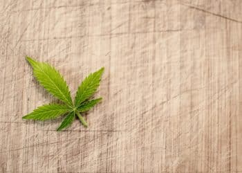 The Cost of Cannabis Extraction