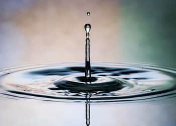 The Interplay Between Water and Cannabis When Making Hash