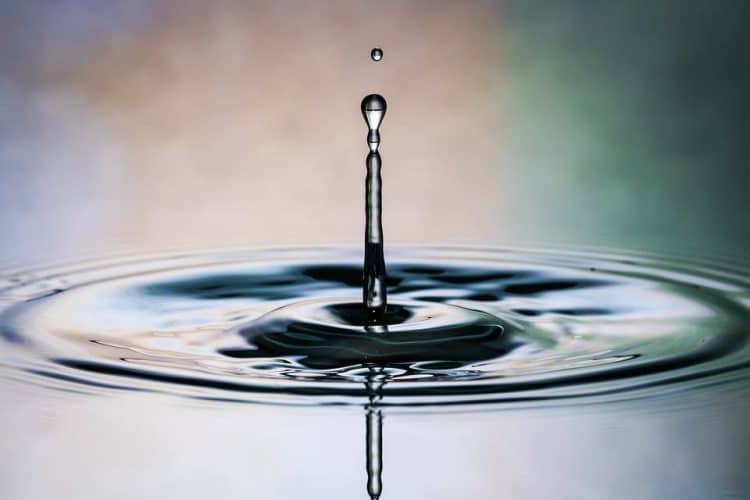 The Interplay Between Water and Cannabis When Making Hash