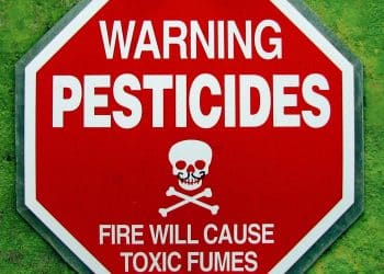 Homemade Botanical Pesticides