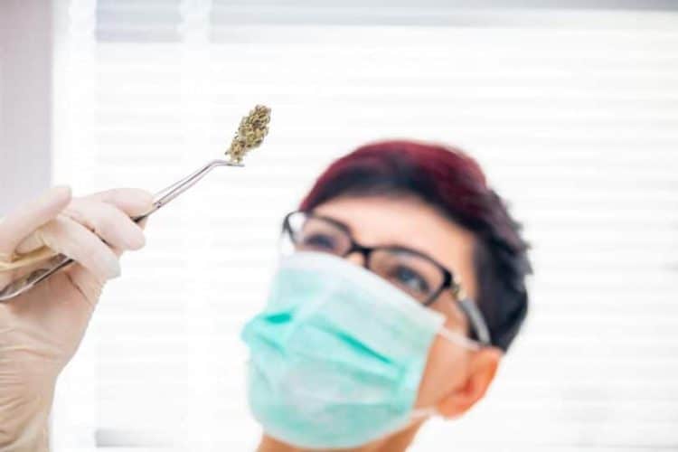 THC Free CBD for Veterans Reports > 400% Increase in Sales During COVID-19