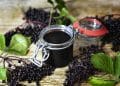 Anthocyanin from Elderberry Pomace