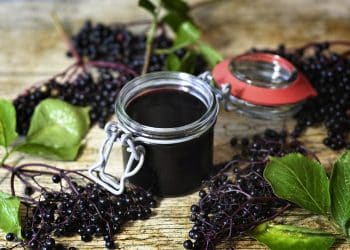 Anthocyanin from Elderberry Pomace