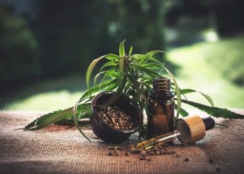 How Lipids Affect Cannabis Oil Chemistry Over Time