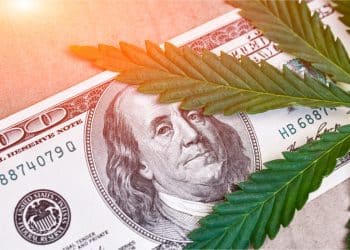 Democrats’ Latest COVID Relief Package Includes [Cannabis] Banking Provisions