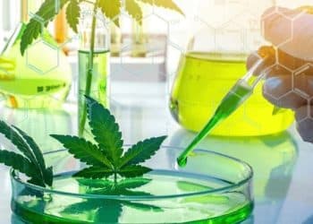 Hybrid Tech Announces Lab Planning & Processing Division for Cannabis and Hemp