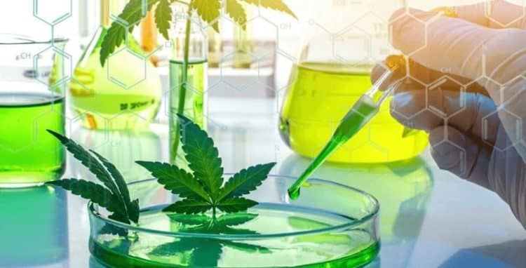 Hybrid Tech Announces Lab Planning & Processing Division for Cannabis and Hemp